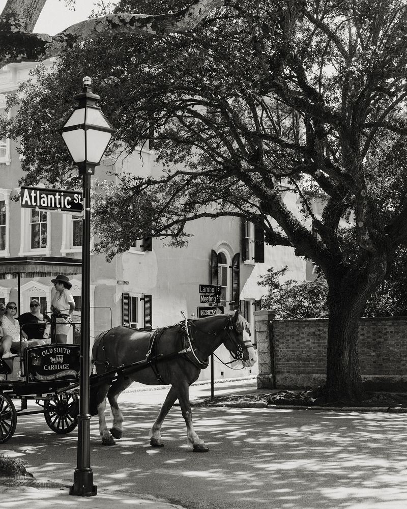 Historic Charleston Street