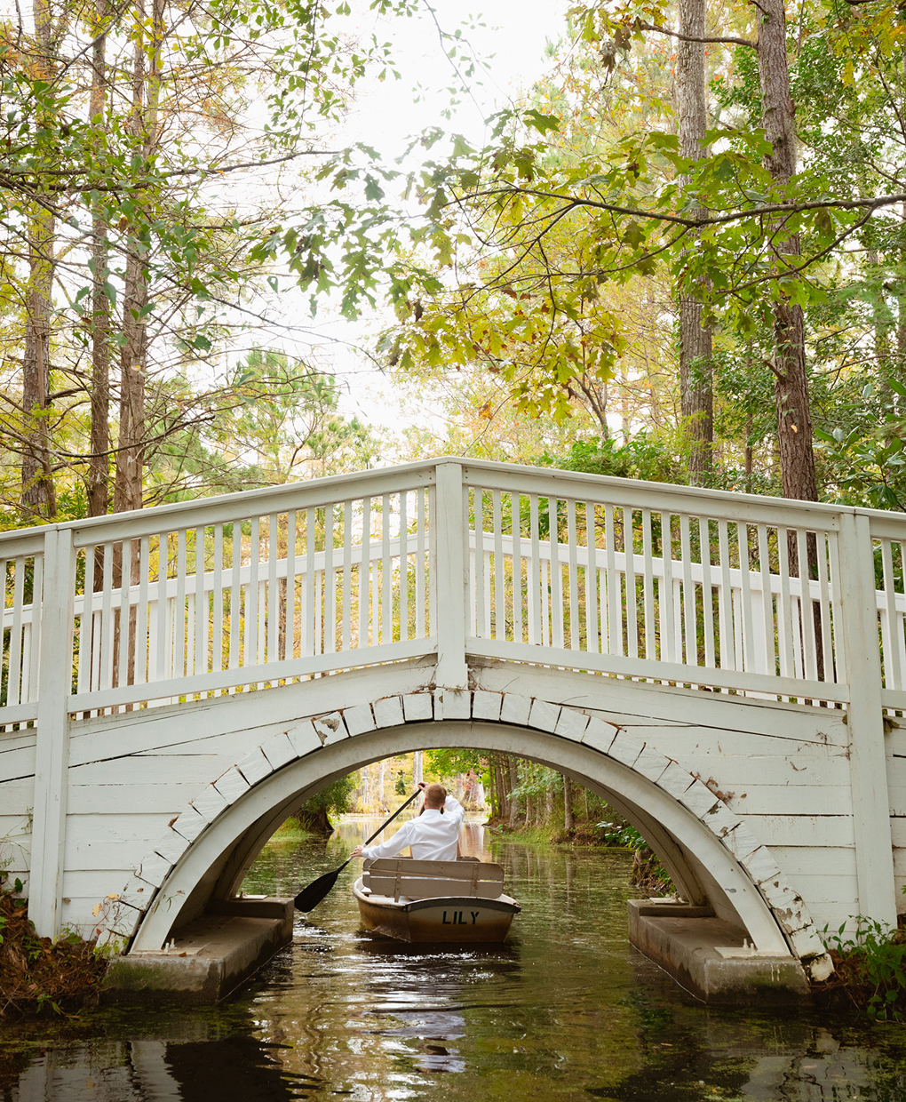 White Arched Bridge Charleston